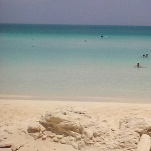 Meet your Posher, Berta